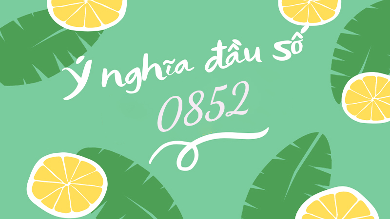 Ý nghĩa của đầu số 0852