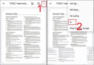Chọn tùy chọn In để in file PDF