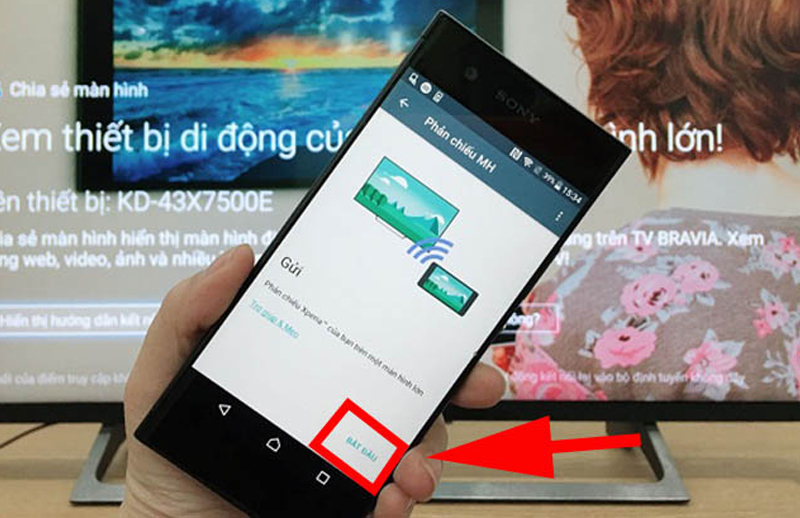 Nhấn bắt đầu để bắt đầu trình chiếu