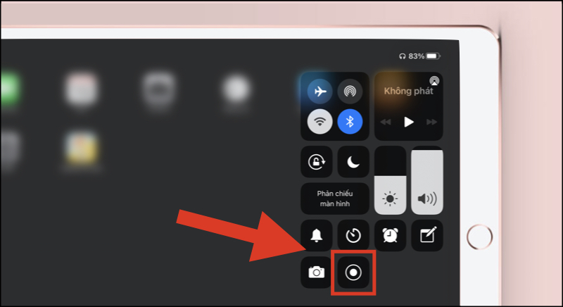 Nhấn vào biểu tượng Ghi màn hình trên iPad