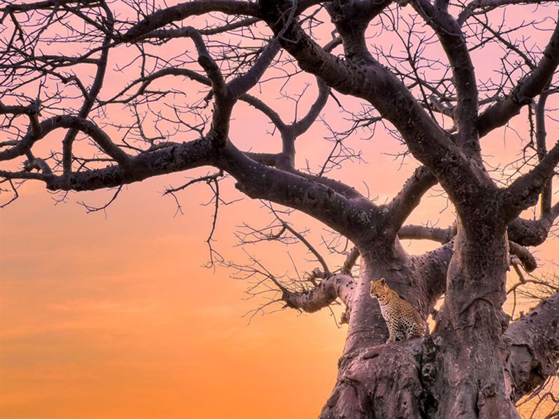 Thử nghiệm camera iPhone 13 Pro: Chụp siêu đẹp, quay phim ấn tượng! Thử nghiệm camera iPhone 13 Pro: Chụp siêu đẹp, quay phim ấn tượng!