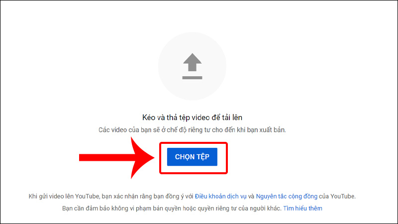 Nhấn CHỌN TỆP để tải lên lệp của bạn