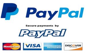 nen-su-dung-paypal-hay-payoneer-2-min