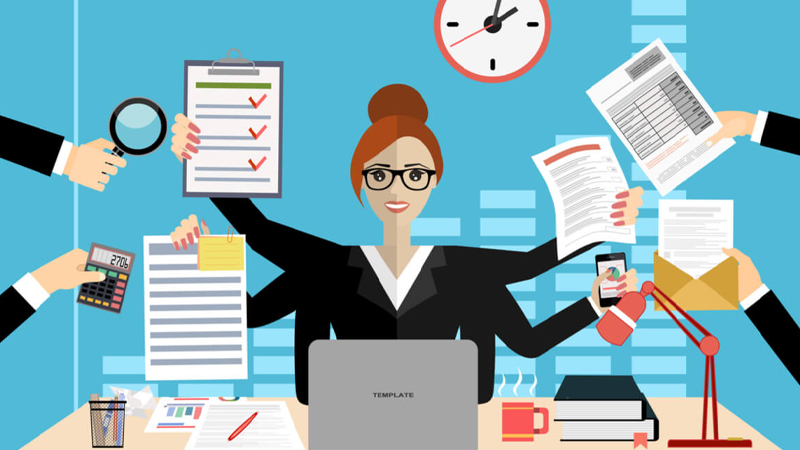 Sales Director/Manager