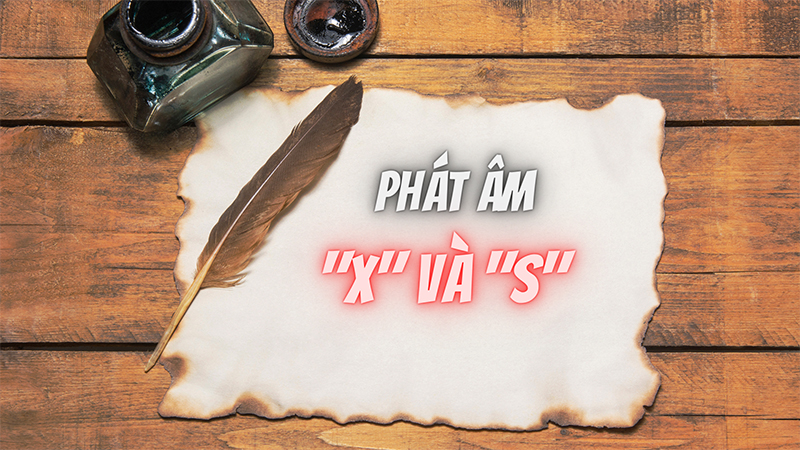 sep-hay-xep-tu-nao-moi-la-dung-chinh-ta-cach-phan-biet-am6 Việc phát âm sai hai âm S và X là một trong những nguyên nhân dẫn đến việc sai chính tả hay dùng sai từ