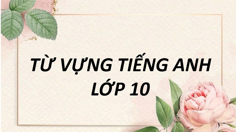 Từ vựng tiếng Anh lớp 10 - Unit 10
