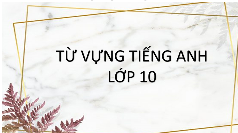 Từ vựng tiếng Anh lớp 10 - Unit 9