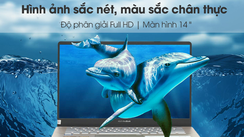 Màn hình của laptop