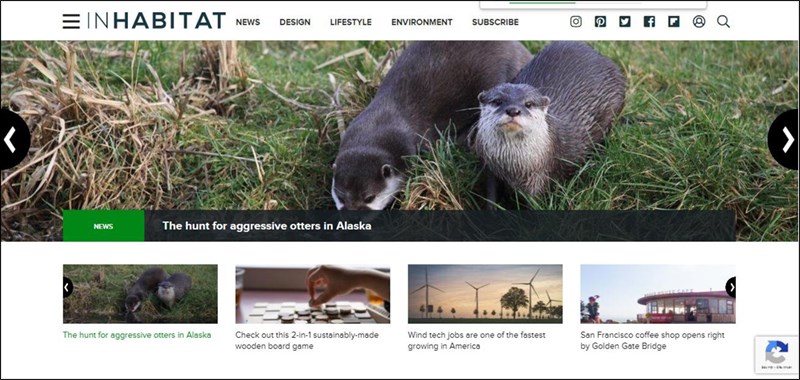 Inhabitat: Trang web nội thất nước ngoài nổi tiếng