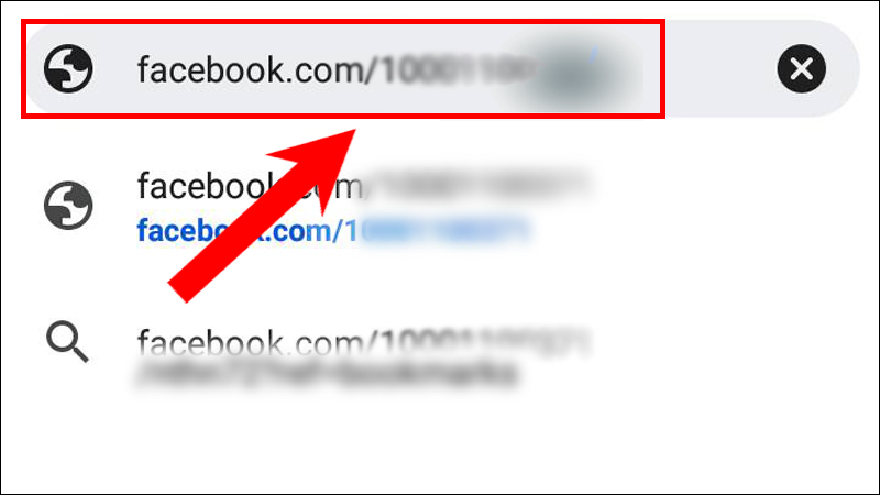 Dán dãy số vừa copy vào thanh địa chỉ trang web