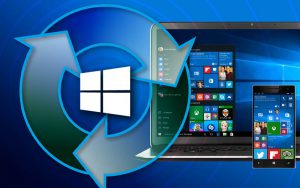 Windows Update là gì?