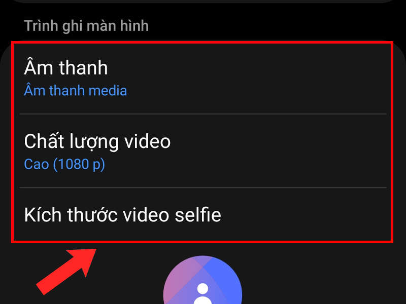 Bạn có thể thiết lập các mục như âm thanh, chất lượng video và kích thước