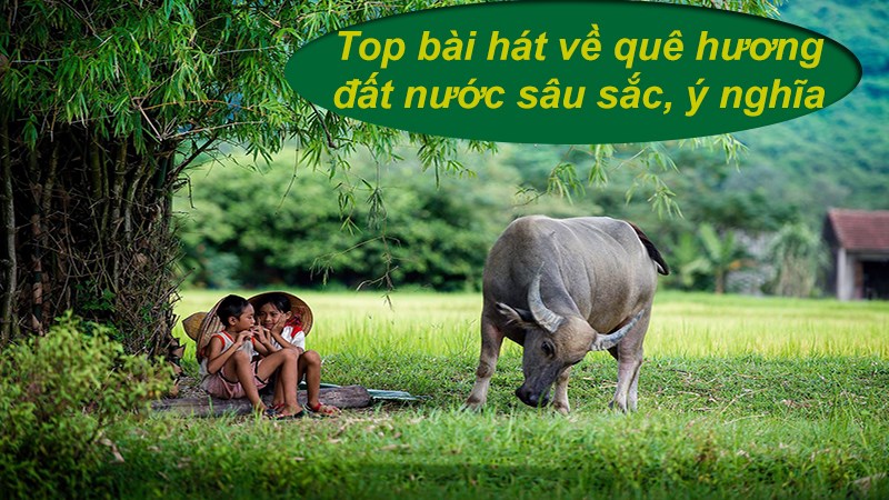 Top bài hát về quê hương hay Top bài hát về quê hương hay